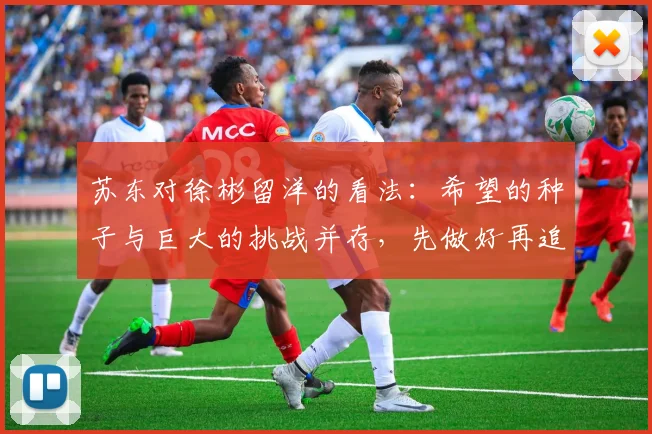 苏东对徐彬留洋的看法：希望的种子与巨大的挑战并存，先做好再追求完美