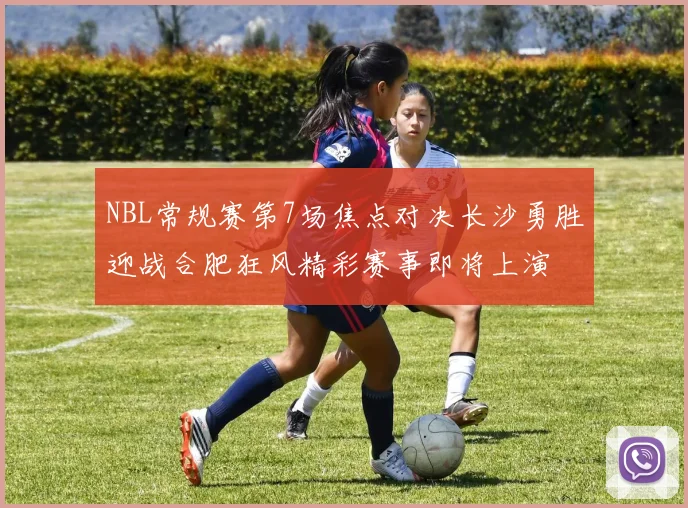 NBL常规赛第7场焦点对决长沙勇胜迎战合肥狂风精彩赛事即将上演